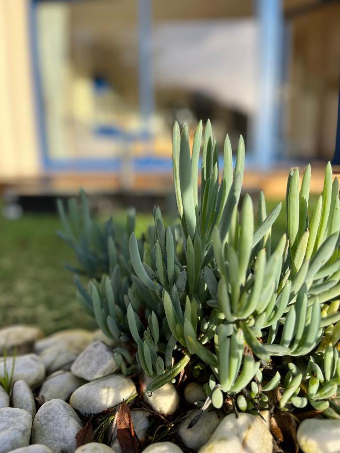 * Le Hameau De La Plage * Étables Eksteriør bilde